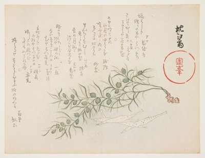 Small white fish and water-weed by Chinksai